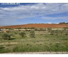 Terrenos en Los Arenales