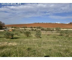 Terrenos en Los Arenales