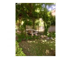 ALQUILER PISO 3 HABITACIONES ZONA R-66