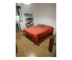 ALQUILER PISO 4 HABITACIONES ZONA CENTRO