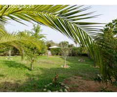 CASA RURAL EN VENTA EN LLUCMAJOR INTERIOR