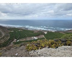FINCA RÚSTICA EN LOMO QUINTANILLA, ARUCAS, GRAN CANARIA, ISLAS CANARIAS