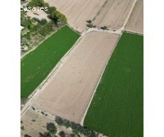 TERRENO RÚSTICO CON MÁS DE 4.000M2 EN CALLOSA DE SEGURA (CARRETERA CATRAL)