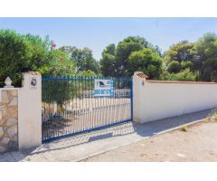 PARCELA URBANA DE MÁS DE 500M2 EN LA ZENIA (ORIHUELA COSTA).
