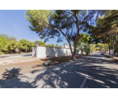 PARCELA URBANA DE MÁS DE 500M2 EN LA ZENIA (ORIHUELA COSTA).