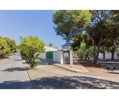 PARCELA URBANA DE MÁS DE 500M2 EN LA ZENIA (ORIHUELA COSTA).