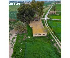 FINCA + NAVE EN CALLOSA (PARAJE LA MADRIGUERA).
