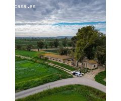 NAVE + FINCA EN CALLOSA (PARAJE LA MADRIGUERA).