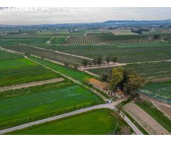NAVE + FINCA EN CALLOSA (PARAJE LA MADRIGUERA).