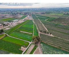 NAVE + FINCA EN CALLOSA (PARAJE LA MADRIGUERA).