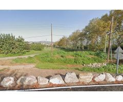 Lote de parcelas rusticas en Castellon