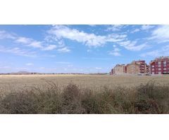 SE VENDE PARCELA RUSTICA EN LOS ALCÁZARES