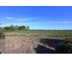SE VENDE PARCELA RUSTICA EN LOS ALCÁZARES