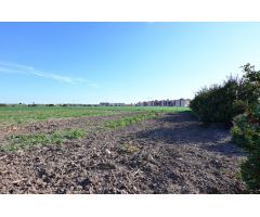 SE VENDE PARCELA RUSTICA EN LOS ALCÁZARES