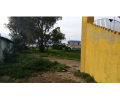 Amplia parcela de 15.600 mt2