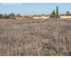 Parcela segregada en zona Hozanejo