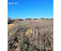Parcela segregada en zona Hozanejo