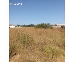 FANTASTICA PARCELA EN EL TEJAREJO