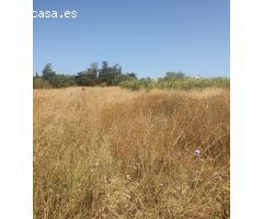FANTASTICA PARCELA EN EL TEJAREJO