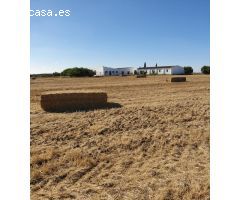 CORTIJO EXPLOTACION AGRARIA  Y CABALLOS FRENTE SAN ANDRES GOLF.