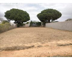 Parcela en Venta en Chiclana de la Frontera, Cádiz