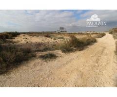 Ref: 3257. Finca de cultivo en venta en Crevillente (Alicante)