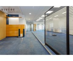 ALQUILER DE OFICINAS EN CONDE OLIVETO.