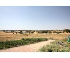 Finca rustica en Venta en Villaviciosa de Córdoba, Córdoba