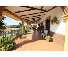 Finca rustica en Venta en Villaviciosa de Córdoba, Córdoba