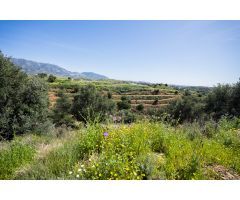¡Oportunidad Única! Gran parcela rústica en Mijas, Málaga
