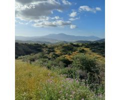 Parcela Rústica en Paraje Carboneado, Coín: Un Lienzo en Blanco con Encanto Natural