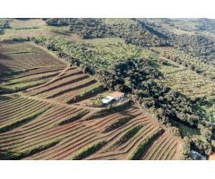 ESPECTACULAR FINCA  EN DUDAR