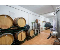 ESPECTACULAR FINCA  EN DUDAR