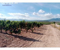 Suelo agrario, de 10.753  m², en Entrena. Plantado de viñas. Agua de acequia junto al terreno.