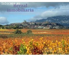VIÑAS.2,3 hectáreas de viñedos en Laguardia, Álava