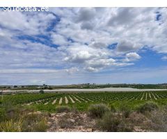 Suelo rural en Los Montesinos
