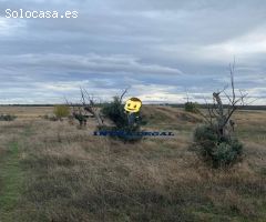 Se vende Finca de 12 Hectáreas a 8 km de Salamanca