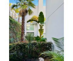 Apartamento en Alquiler en Ojén, Málaga