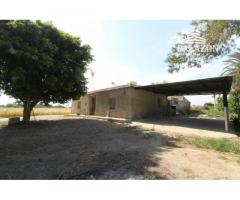 Ref: 0274. Finca de cultivo con casa de campo en Catral (Alicante)