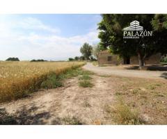 Ref: 0274. Finca de cultivo con casa de campo en Catral (Alicante)