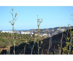 PARCELA EN LOMAS DE FLAMENCO. MIJAS