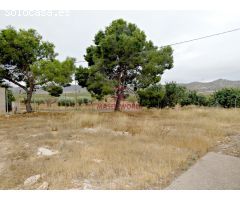 Casa de campo con terreno en Fuente Álamo
