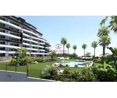 Nueva promoción residencial de San Miguel de Salinas a un paso del centro