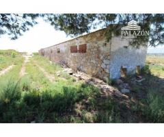 Ref: 0982. Finca de cultivo en venta en Crevillente (Alicante)