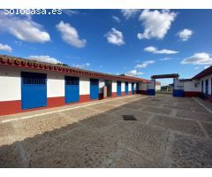 FINCA RÚSTICA JUNTO A LA PUEBLA DEL RÍO. VP028