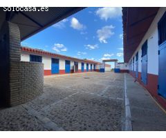FINCA RÚSTICA JUNTO A LA PUEBLA DEL RÍO. VP028