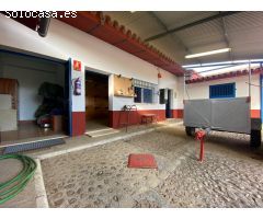 FINCA RÚSTICA JUNTO A LA PUEBLA DEL RÍO. VP028