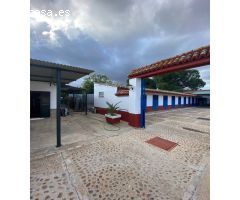 FINCA RÚSTICA JUNTO A LA PUEBLA DEL RÍO. VP028