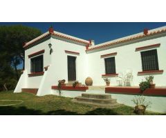 FINCA RUSTICA EN VENTA, LA PUEBLA DEL RIO. VP103