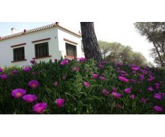 FINCA RUSTICA EN VENTA, LA PUEBLA DEL RIO. VP103